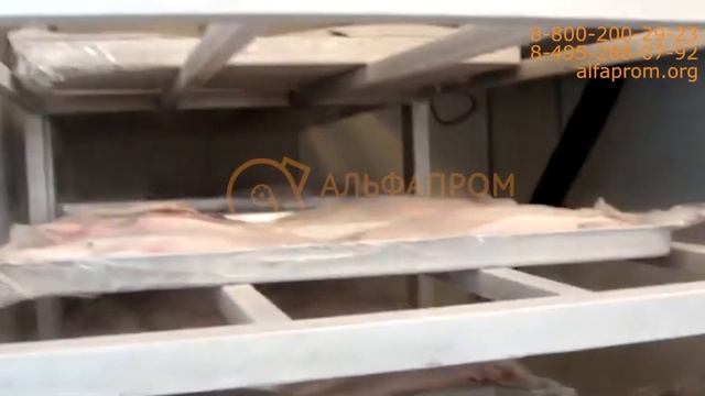 Шкаф шоковой заморозки от компании АЛЬФАПРОМ смотреть онлайн