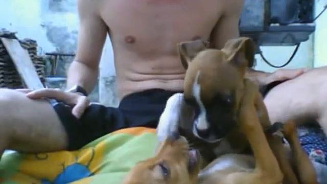 Hanna e Lolita смотреть онлайн