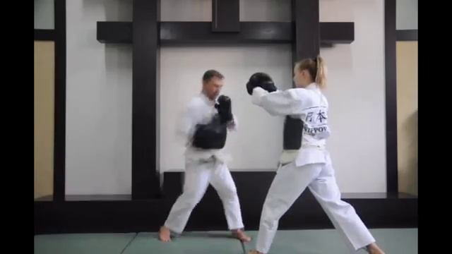 Ниппон кэмпо начальный уровень смотреть онлайн