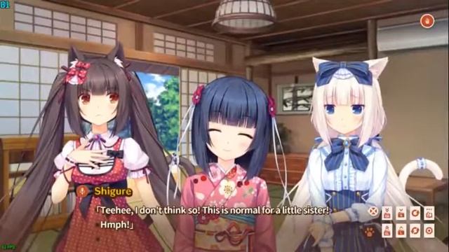 Nekopara Volume 0 - Começo do jogo antes do bug do OBS смотреть онлайн