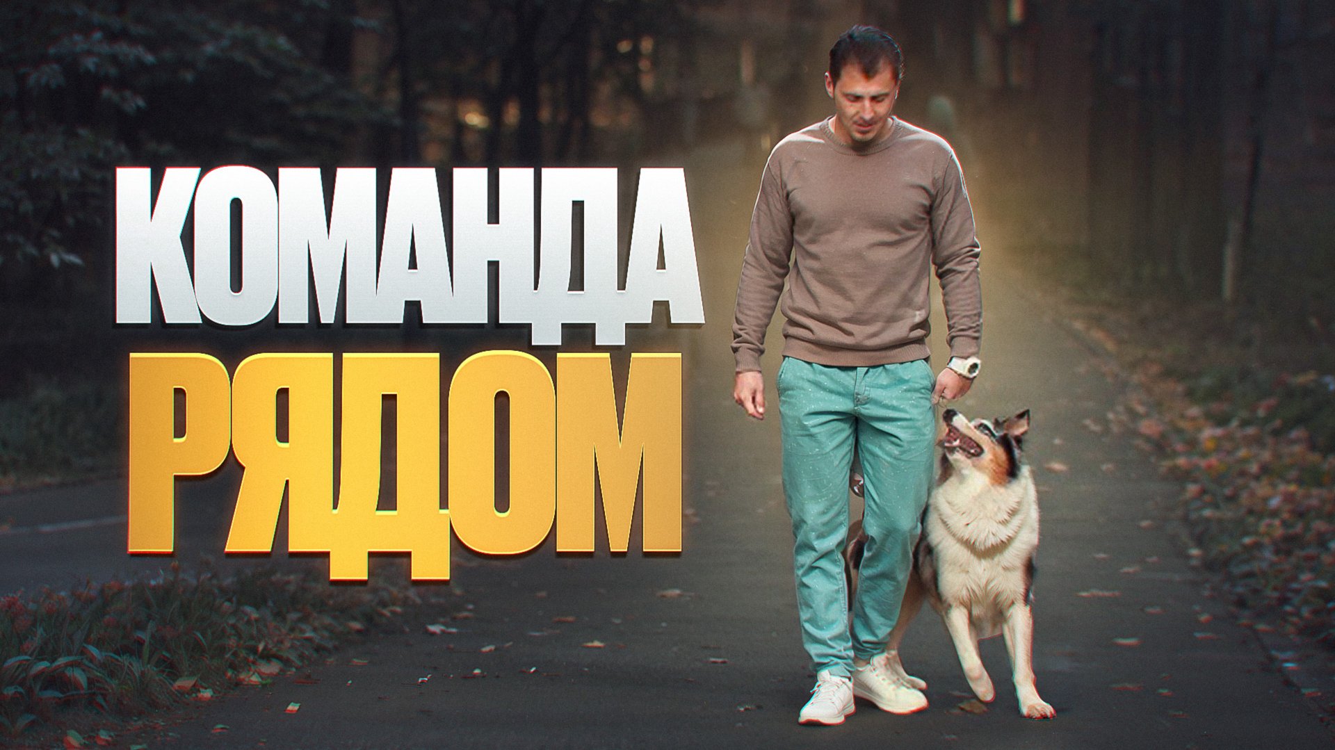 Как научить собаку команде рядом? смотреть онлайн