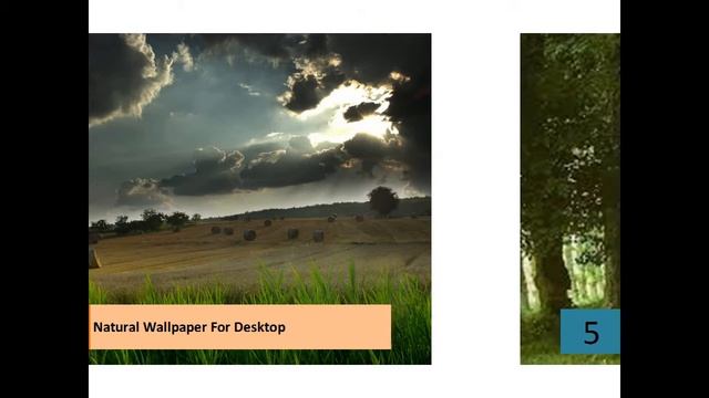 Nature & Landscape HD Wallpapers in High Quality смотреть онлайн