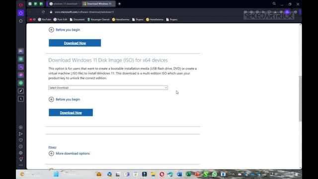 Download ISO Resmi Windows 11 23H2 смотреть онлайн