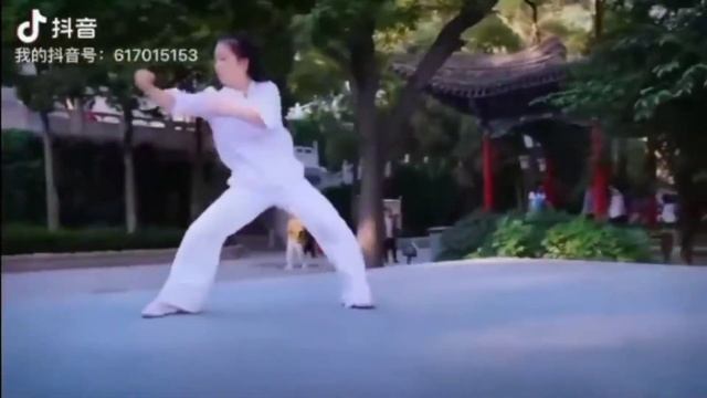 Masters of Tongbeiquan. Zhang Hanliang. Мастера Тунбэйцюань. Чжан Ханлян. смотреть онлайн