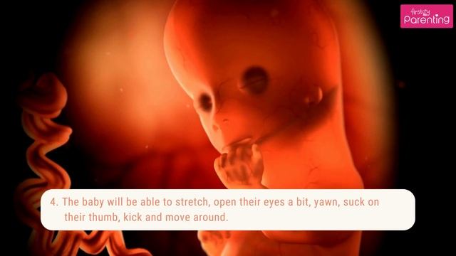 5 Month Pregnant - Know the Baby Development смотреть онлайн