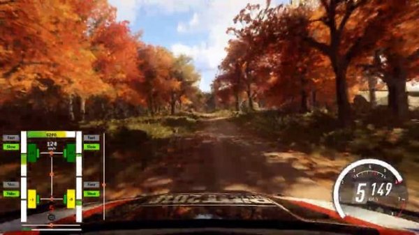 Dirt Rally 2.0 - Telemetry Tool