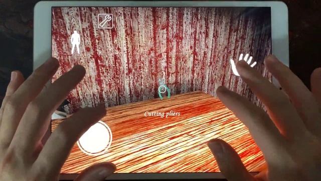 Baldi's Basics,Evil Nun 2,Baby In Yellow,Scary Child,Santa Baldi's Basics,Death Park 2,Granny,R.I.P смотреть онлайн