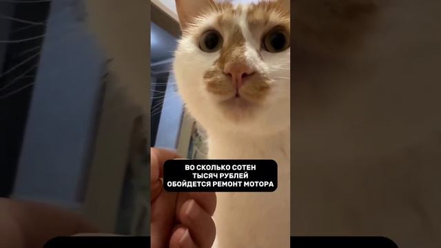 Пятна масла под машиной🤔 смотреть онлайн