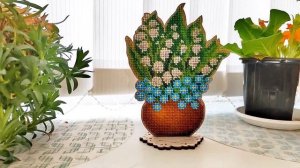 95. Весенний финиш