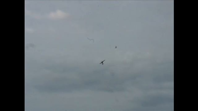 Срез болтов воздушного винта, в полете.wmv