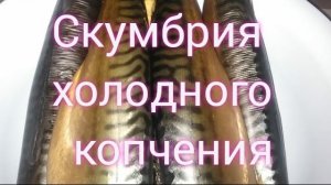 Скумбрия холодного копчения.
