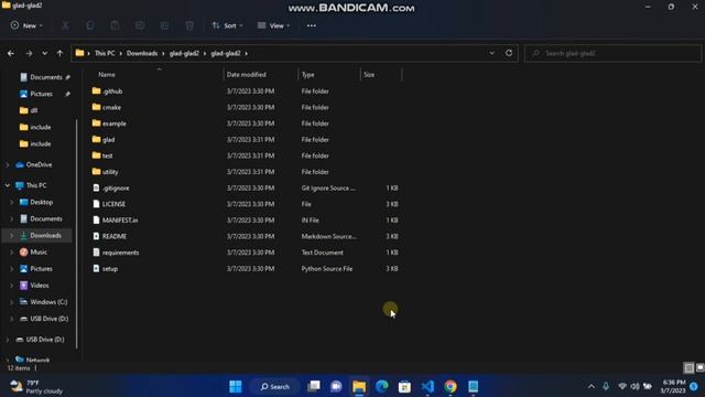 Install OpenGL Pada Visual Studio Code