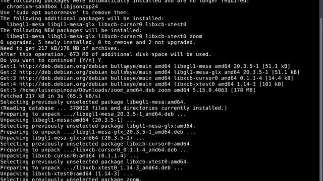 Download and install Zoom on Linux (Debian) NEW 2023 смотреть онлайн