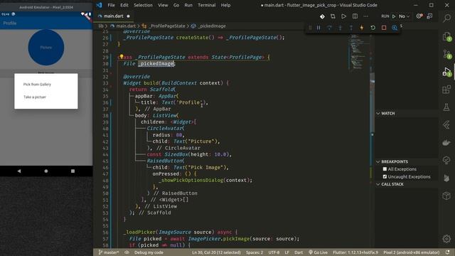 Flutter - Allow users to Pick and Crop Image in your Flutter Application смотреть онлайн