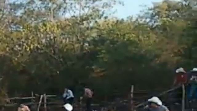 El kastor.mp4 en puerta de ansa 2011 смотреть онлайн