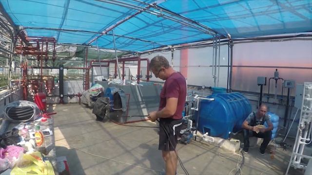 Установка системы обратного осмоса в теплице по выращиванию роз смотреть онлайн