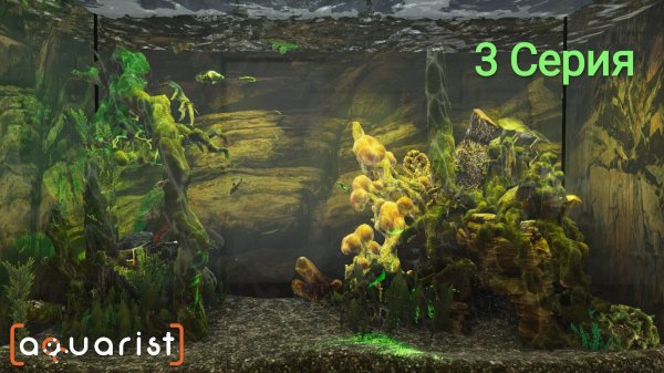 Aquarist 3 Серия