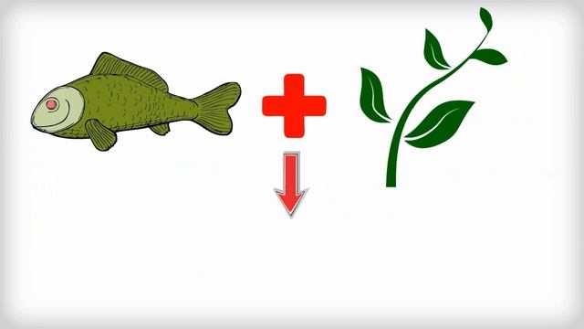Practical Aquaponics - Setting Up An Aquaponics System And Free Aquaponics Kit Download смотреть онлайн