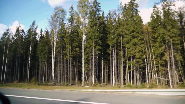 TSUNAMI PICNIC 2020 / ЦУНАМИ ПИКНИК 2020 смотреть онлайн