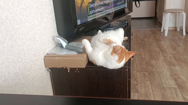 Кузя смотреть онлайн