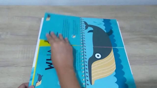 Curious Creatures WS Kids смотреть онлайн