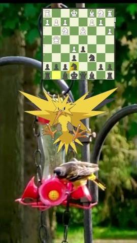 LEGENDARY Chess Bird смотреть онлайн