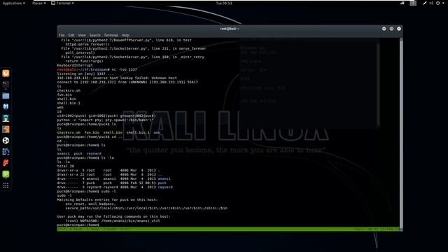 VulnHub - Brainpan: 1 (Windows/Linux Stack buffer overflow exploitation) смотреть онлайн