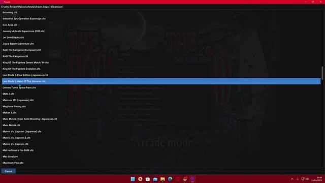 COMO ADICIONAR CHEATS NO EMULADOR FLYCAST | EMULADOR DE DREAMCAST