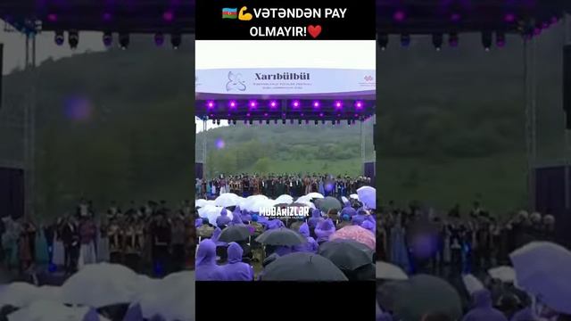 13 мая 2022 г. смотреть онлайн