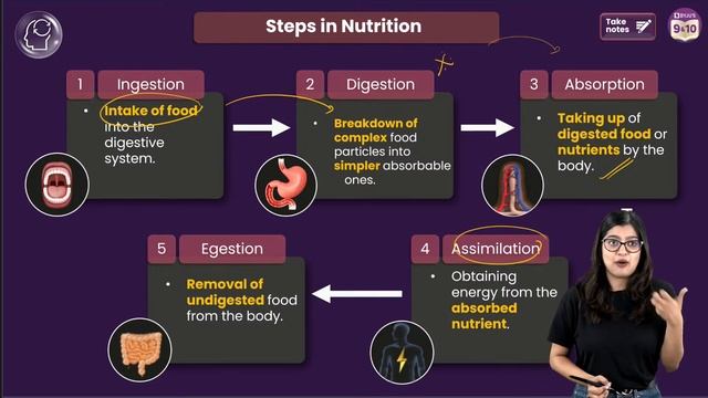 Life Processes | BRIDGE SESSION | Class 10 Science Chapter 5 | CBSE BOARDS 2025 смотреть онлайн