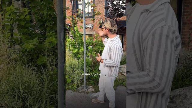 Необычная клумба. Ландшафтный дизайн сада смотреть онлайн