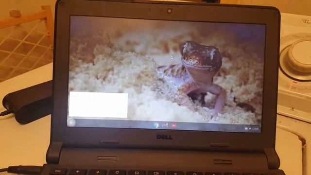 Eskie's Vlog 012221: The $7.98 Dell Chromebook Model P22T смотреть онлайн