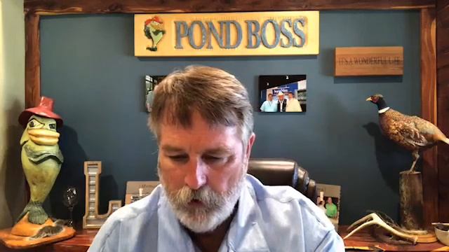 Facebook Live 7.24.19- Little Things to make a Big Difference in your pond смотреть онлайн