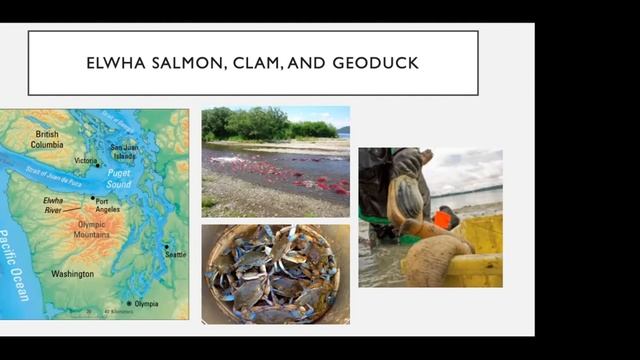Protecting Tribal Environmental health: Challenges and Opportunities for Risk Assessments смотреть онлайн