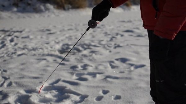 Зимняя блесна ECOPRO Spy