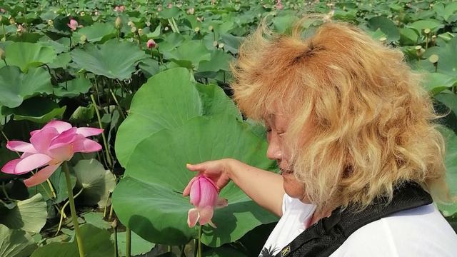 Долина лотосов