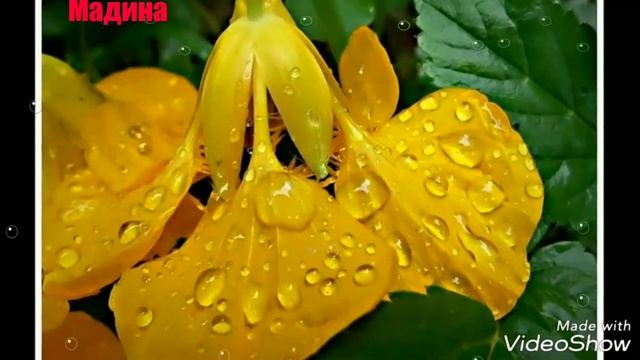 😢💘ХАМОН ЁРИ НАВАТ БЕМОР ГАРДАД смотреть онлайн