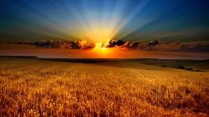 Целительница.