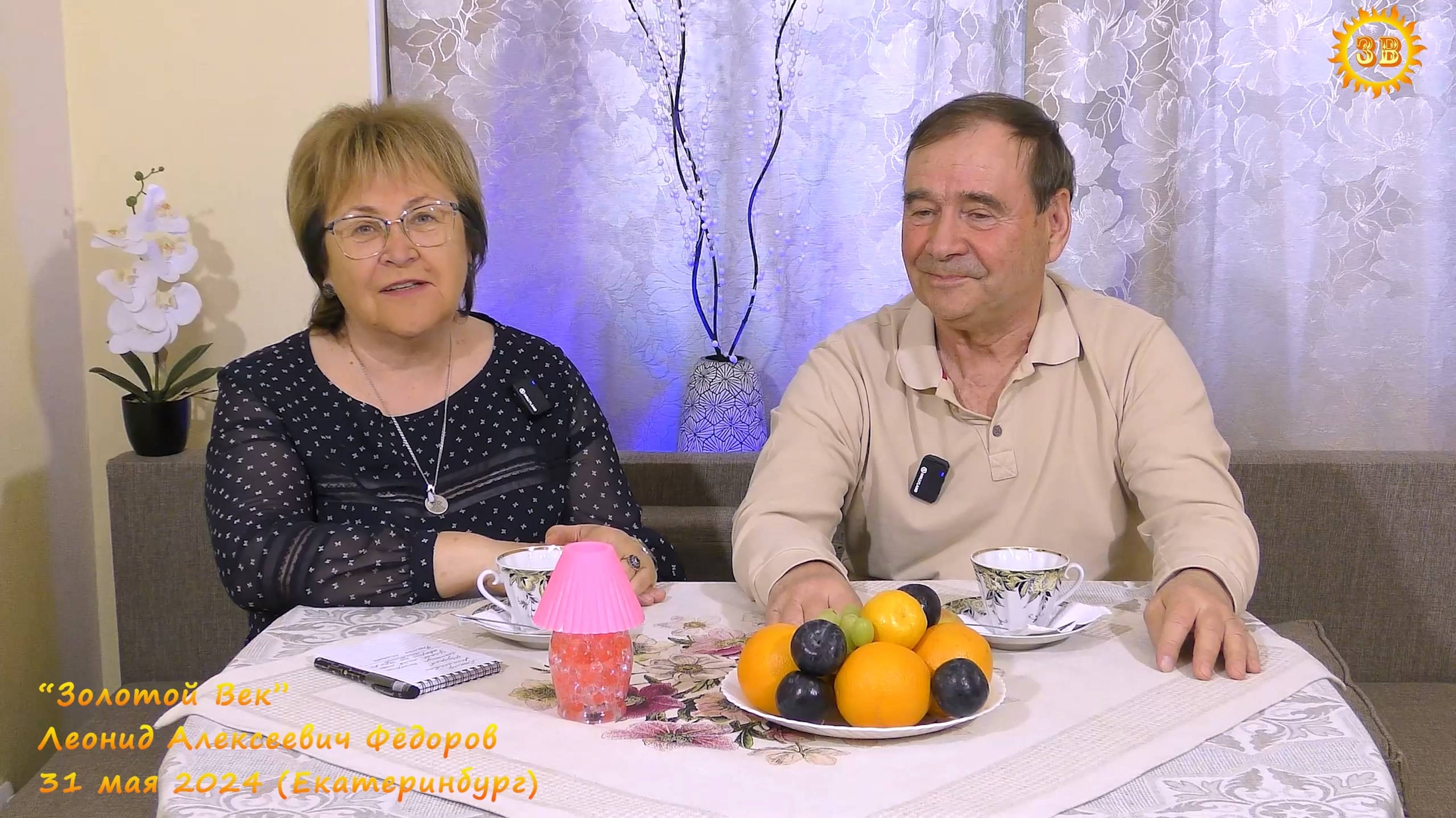 Магнитные Силовые линии. Леонид Алексеевич Фёдоров. Екатеринбург. 31.05.2024