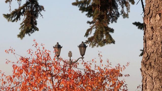 2020 Мгновения 1 Фонари смотреть онлайн