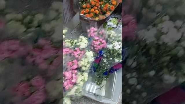 Поставка 10 октября 2024 ЭКВАДОР, ГОЛЛАНДИЯ, КОЛУМБИЯ!