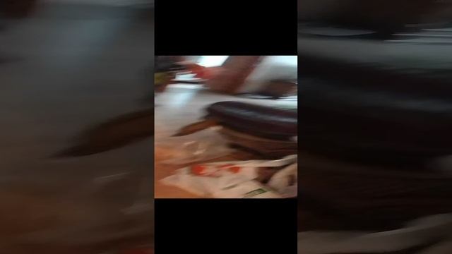 рассказываю про моего кота смотреть онлайн