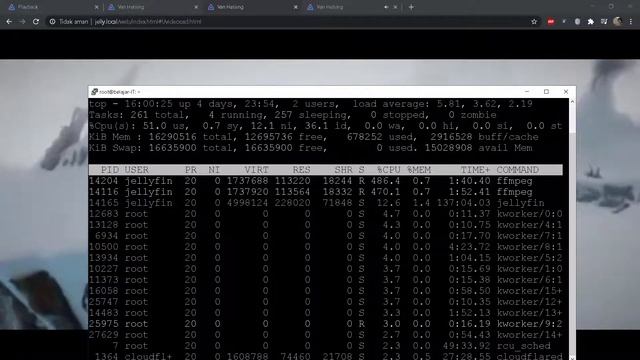 TUTORIAL TWEAKING MEDIA SERVER JELLYFIN смотреть онлайн