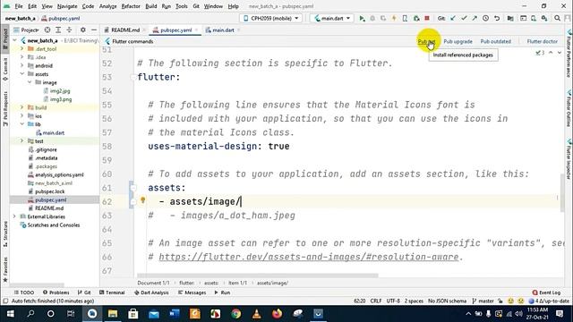 Flutter Bangla tutorial with android studio Flutter asset image 2021, Class -04 смотреть онлайн