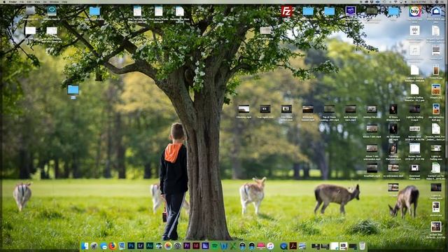 How to download video to computer via Dropbox link смотреть онлайн