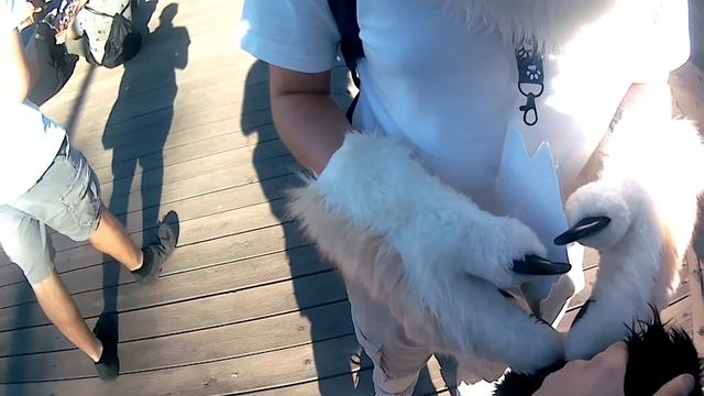 моя первая сходка фурри #furry смотреть онлайн