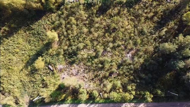 Участок у леса 10 Соток. г. Всеволожск. Электричество. смотреть онлайн