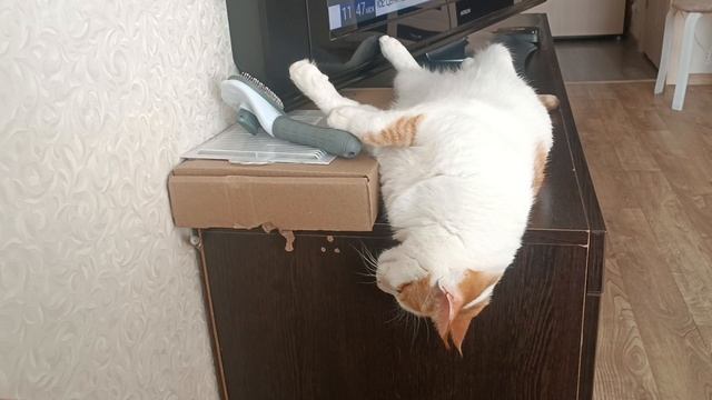 Кузя смотреть онлайн