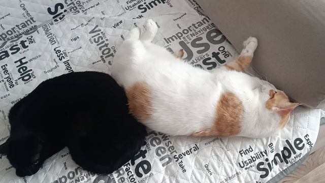 Кузя и девочка смотреть онлайн