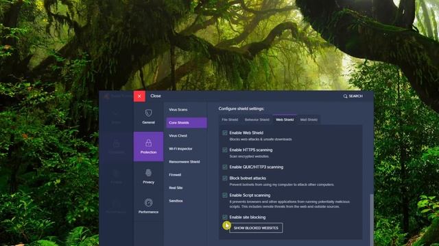 How to block website-Avast premium Security-Web Shield смотреть онлайн